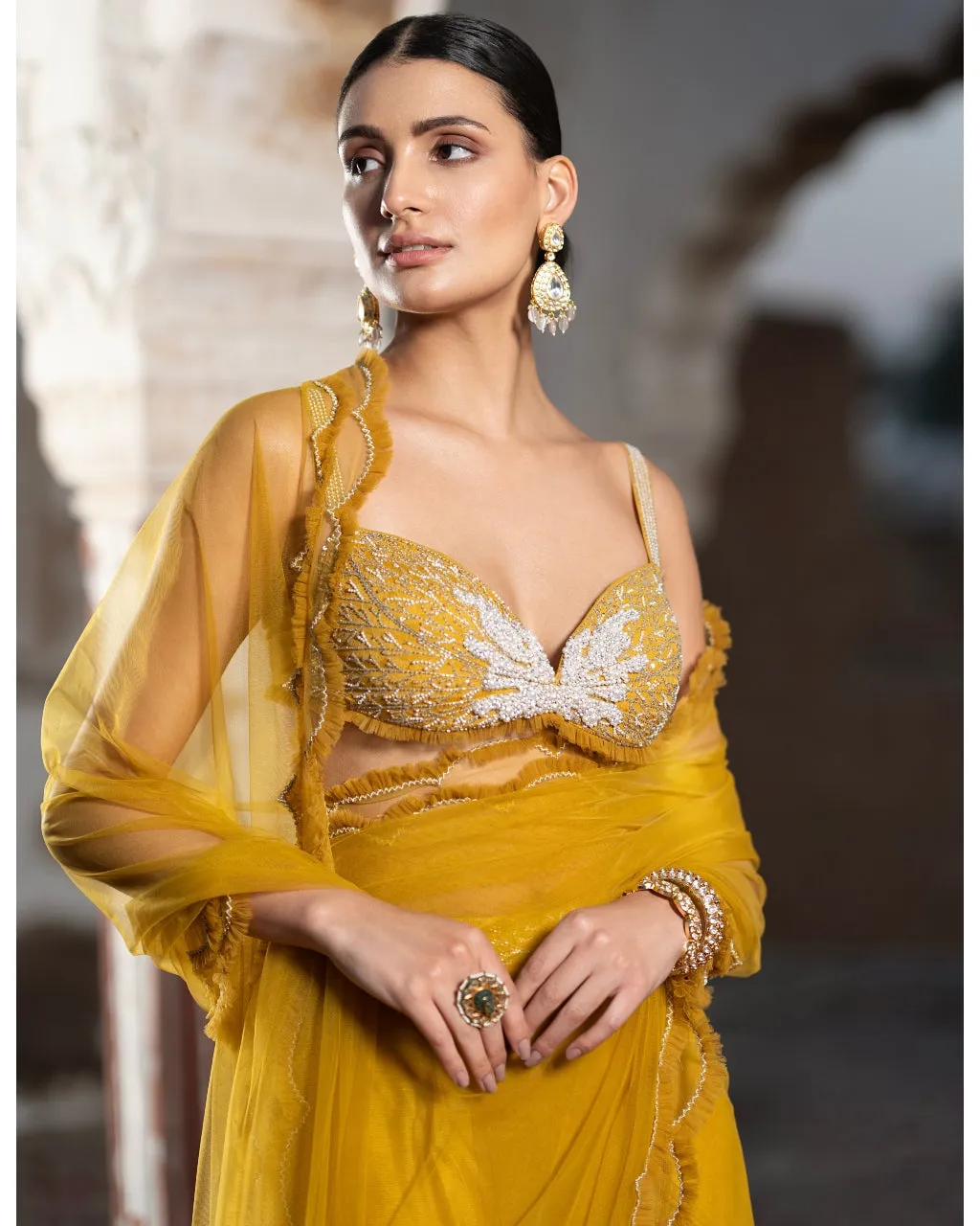 Amber Sequined Sari Set