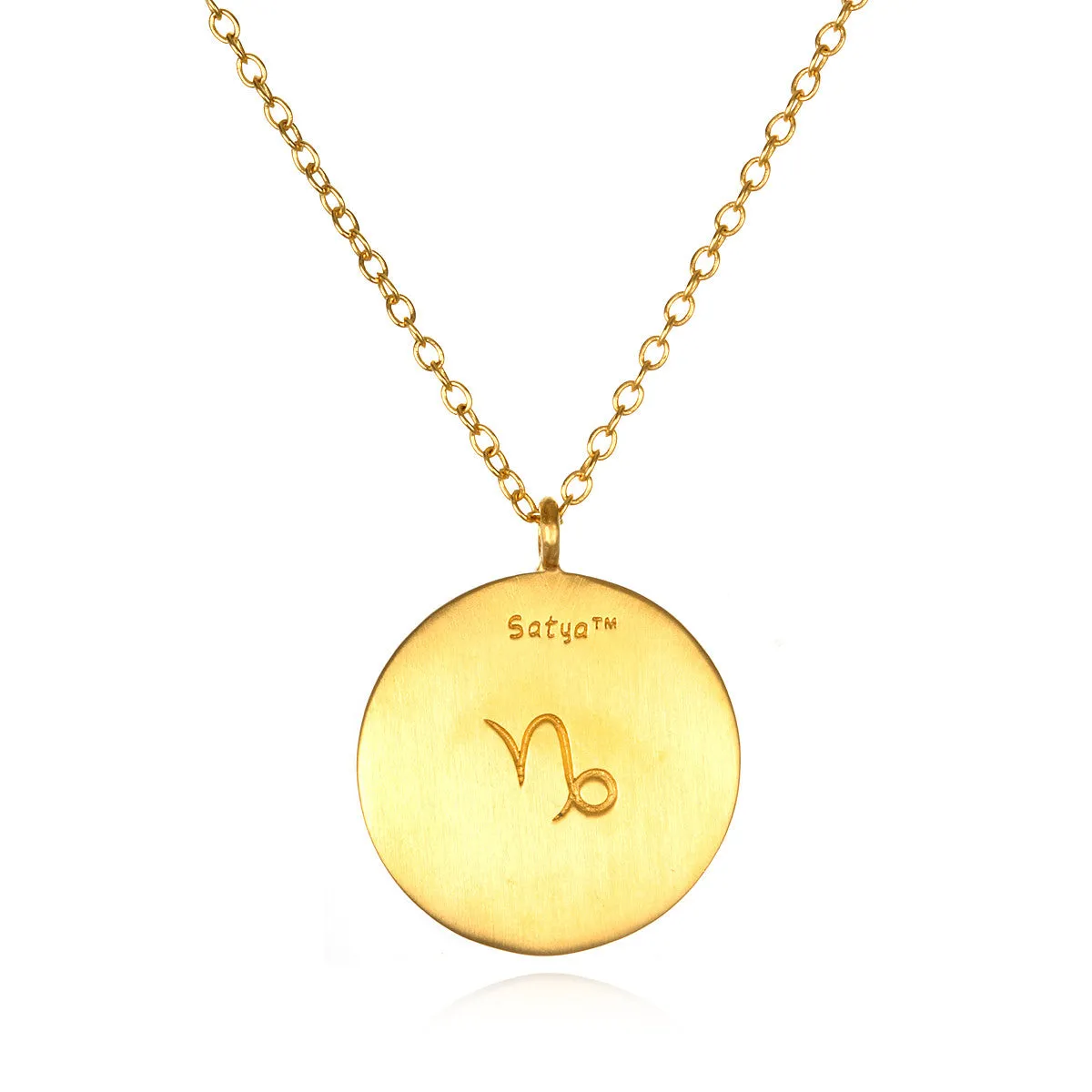 Capricorn Zodiac Necklace